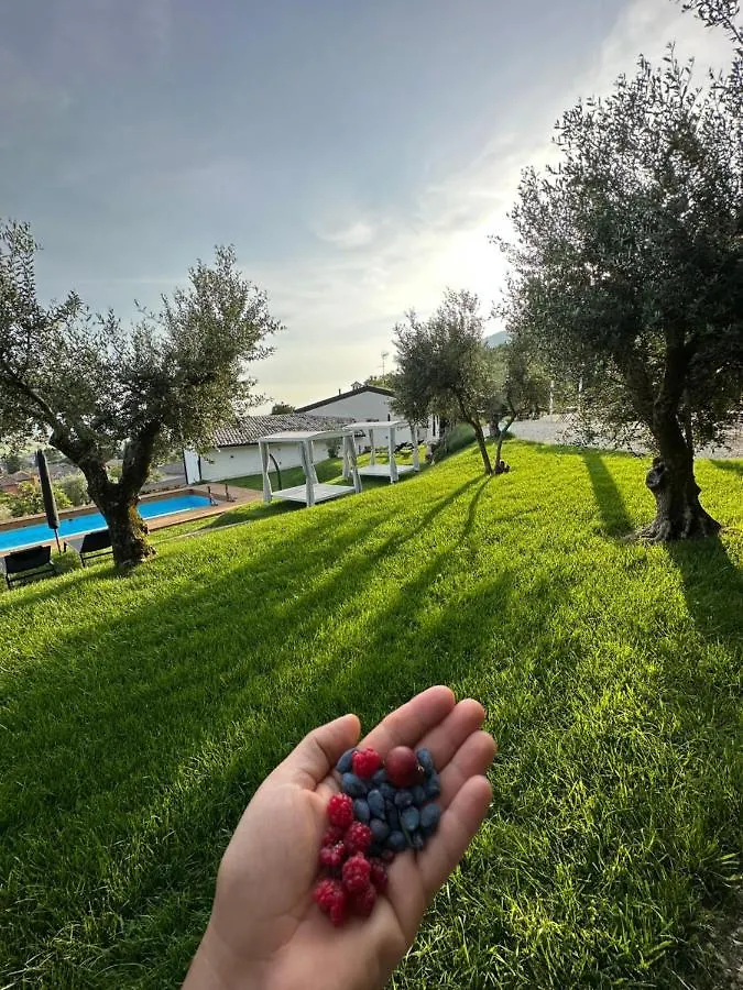 Bed & Breakfast Agriturismo Maison 1933 Caprino Veronese